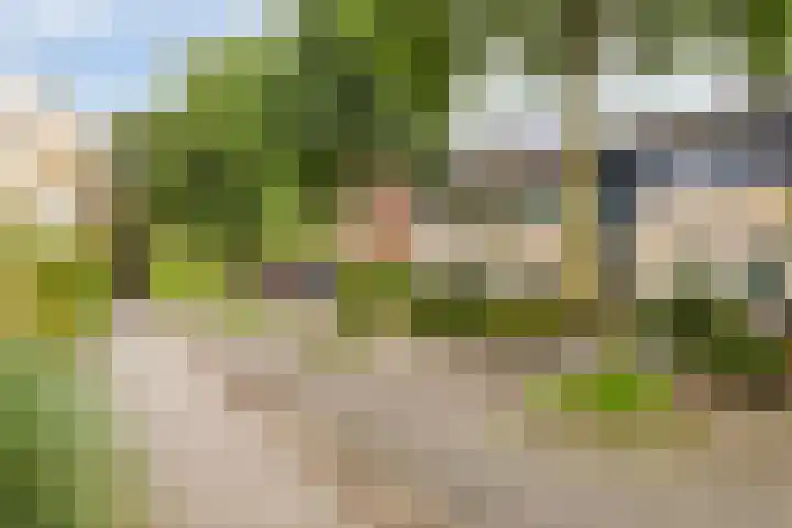 Vetkruid 14 Amersfoort thumbnail 23
