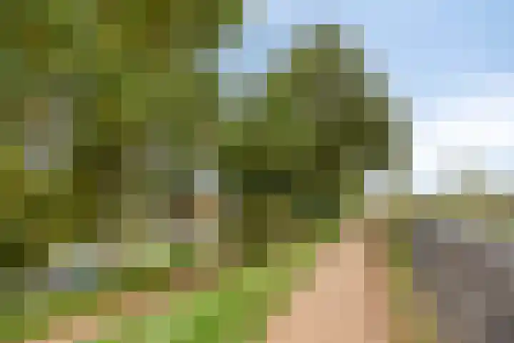 Vetkruid 14 Amersfoort thumbnail 25