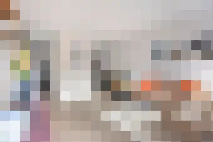 Vetkruid 14 Amersfoort thumbnail 8