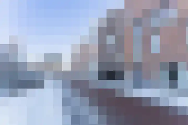 Vette Knol 49 Enkhuizen thumbnail 41