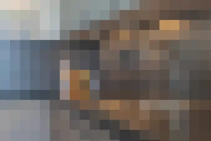Vette Knol 49 Enkhuizen thumbnail 8