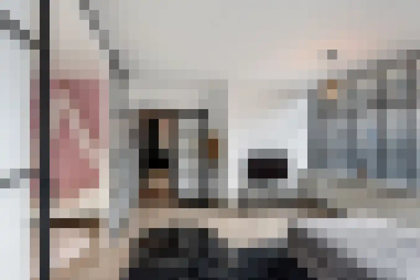 Vettenoordstraat 42 Vlaardingen thumbnail 12