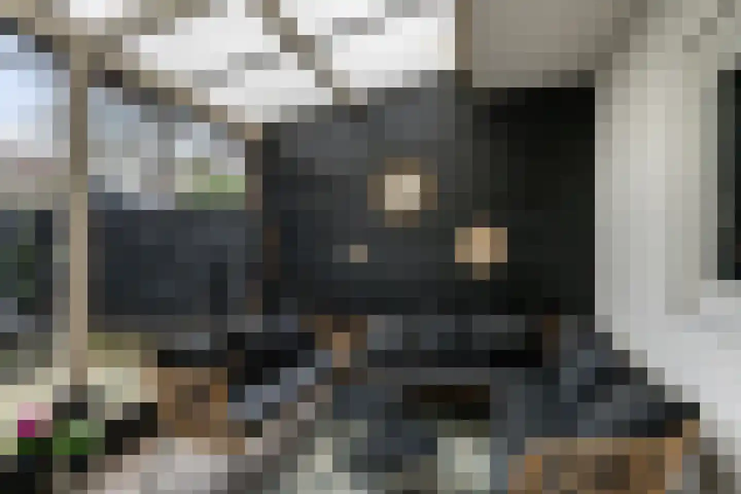 Vettenoordstraat 42 Vlaardingen thumbnail 20