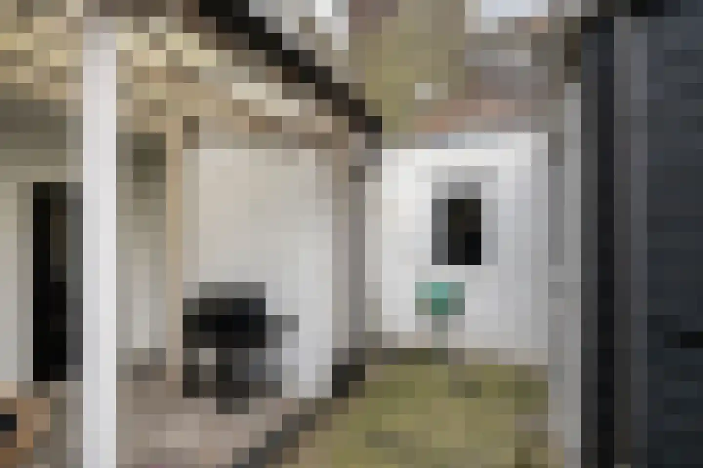 Vettenoordstraat 42 Vlaardingen thumbnail 22