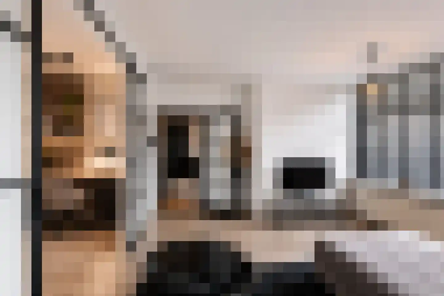 Vettenoordstraat 42 Vlaardingen thumbnail 4
