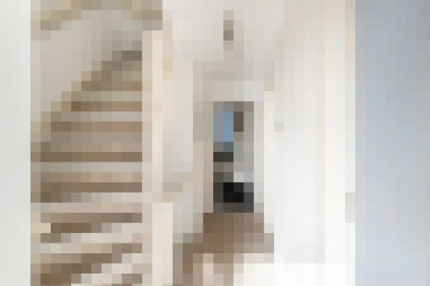 Vettenoordstraat 56 Vlaardingen thumbnail 17