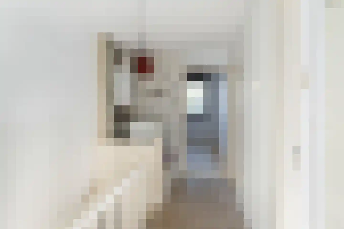 Vettenoordstraat 56 Vlaardingen thumbnail 30