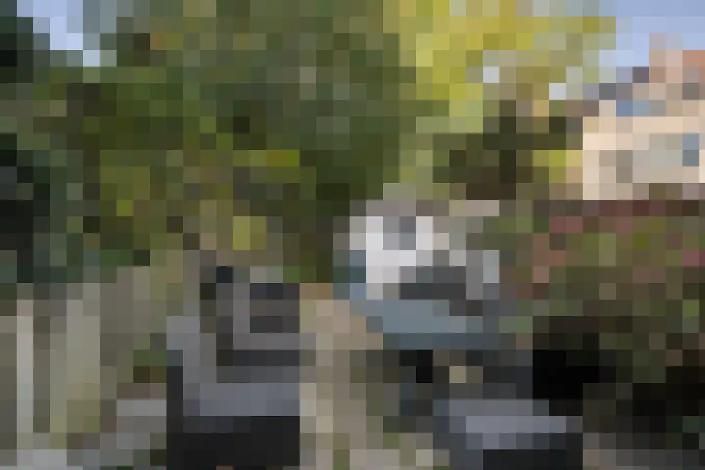 Vettenoordstraat 56 Vlaardingen thumbnail 5