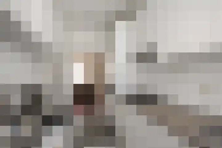 Vettenoordstraat 58 D Vlaardingen thumbnail 18