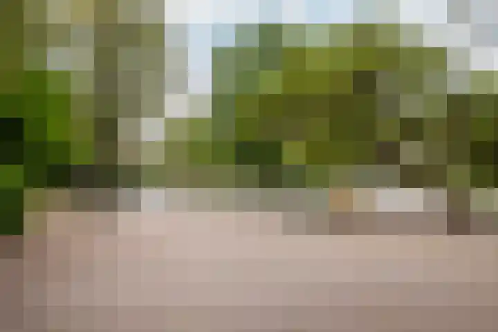 Vettenoordstraat 58 D Vlaardingen thumbnail 29