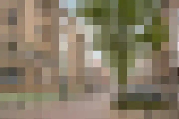 Vettenoordstraat 58 D Vlaardingen thumbnail 5