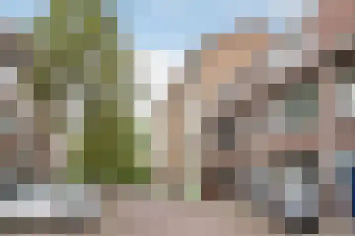 Vettenoordstraat 58 D Vlaardingen thumbnail 6
