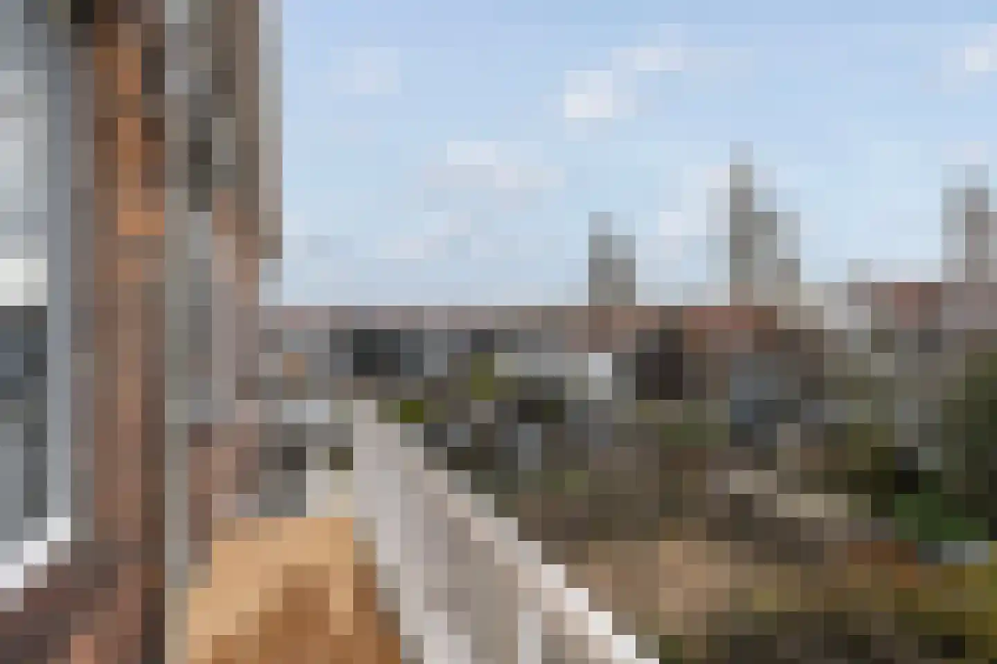 Vettenoordstraat 63 C Vlaardingen thumbnail 14