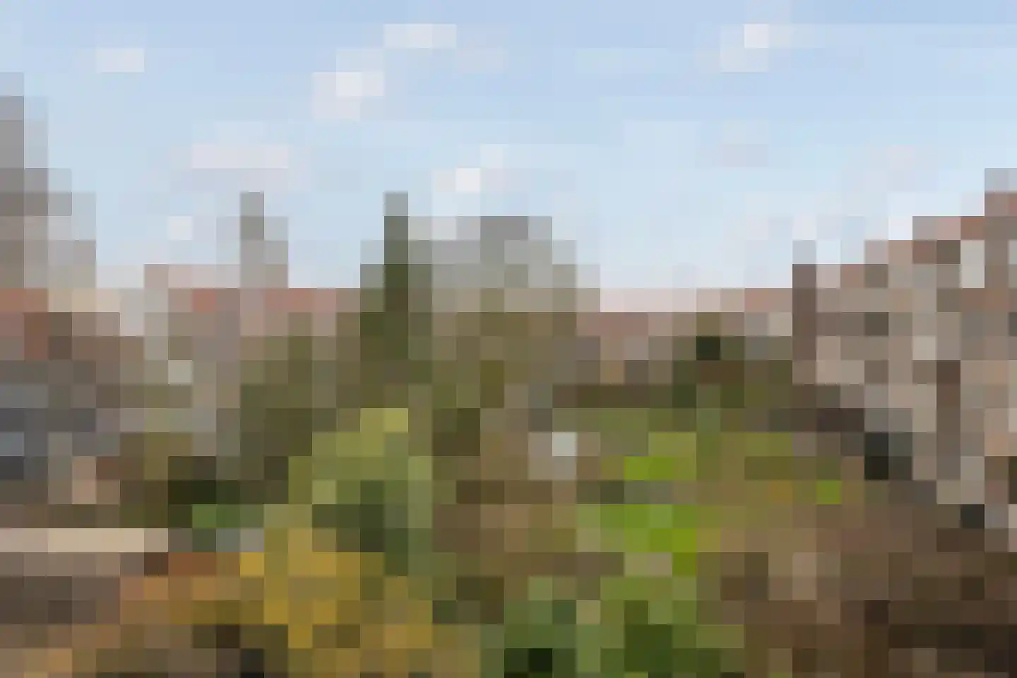 Vettenoordstraat 63 C Vlaardingen thumbnail 15