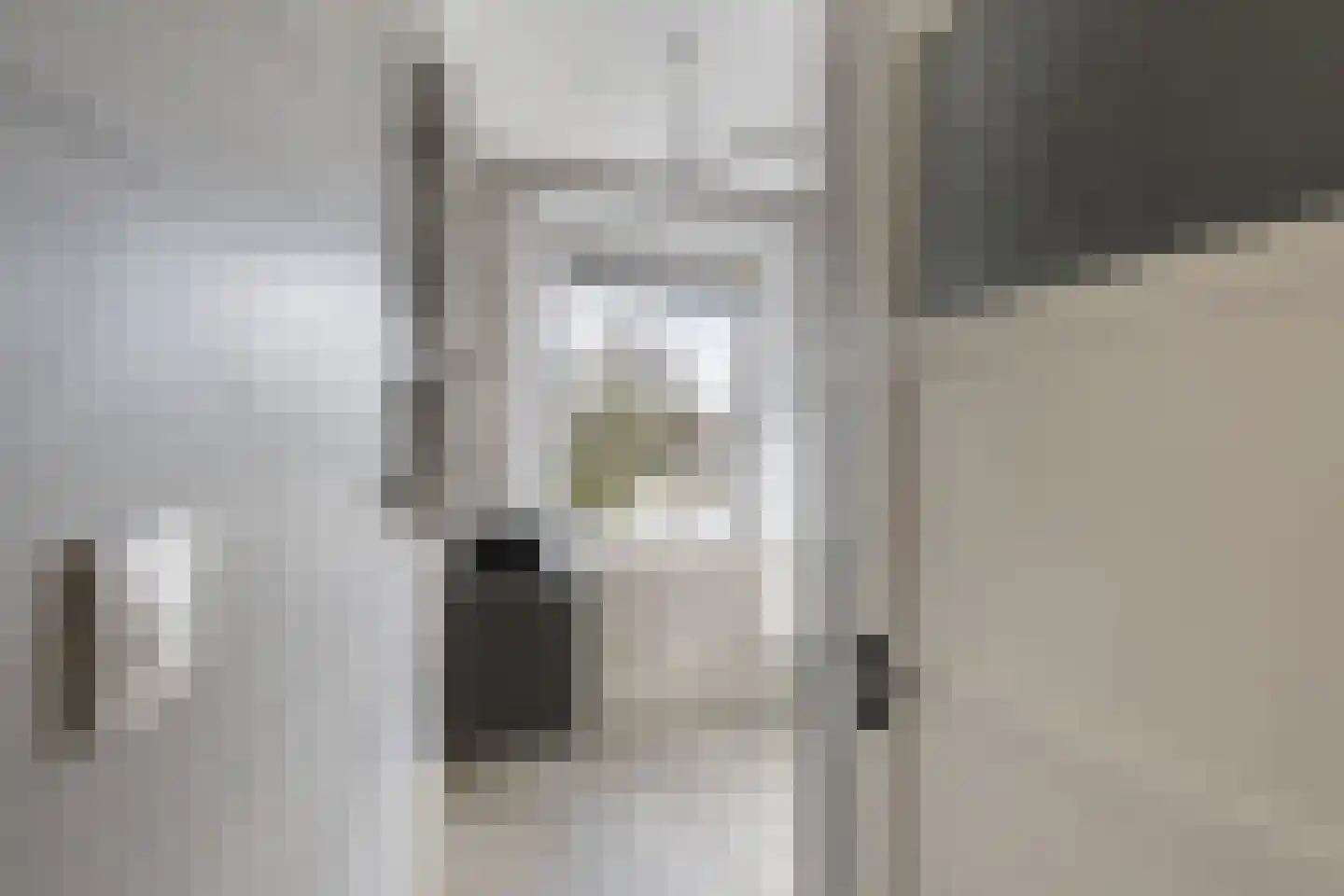Vettenoordstraat 63 C Vlaardingen thumbnail 22