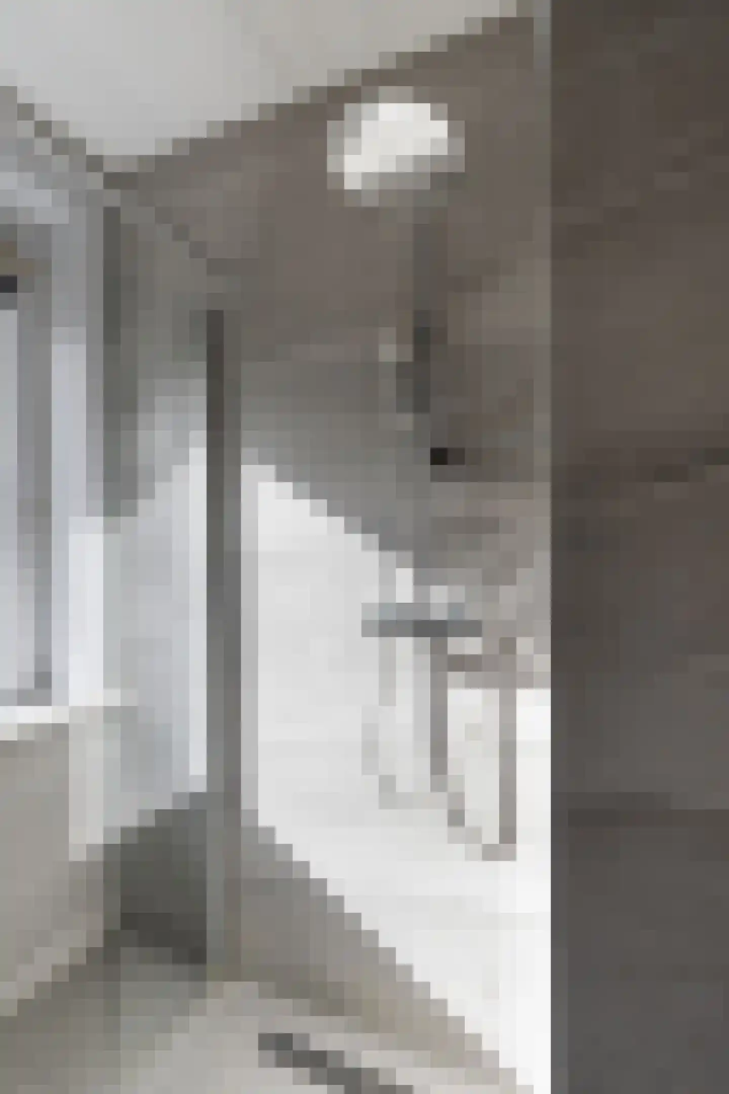 Vettenoordstraat 63 C Vlaardingen thumbnail 23