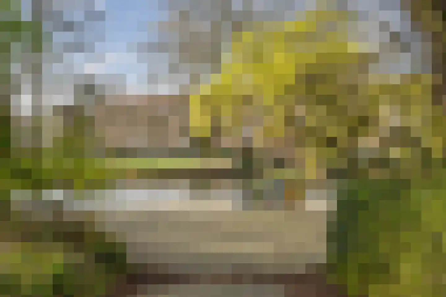 Vettenoordstraat 63 C Vlaardingen thumbnail 26