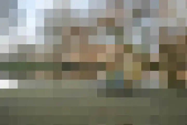 Vettenoordstraat 67 C Vlaardingen thumbnail 31