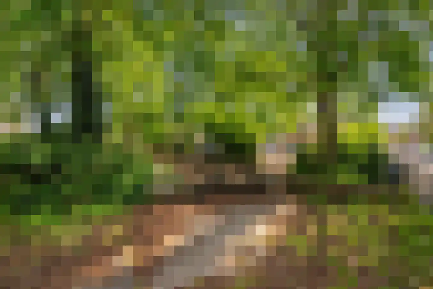 Vetteoordskade 56 Vlaardingen thumbnail 4