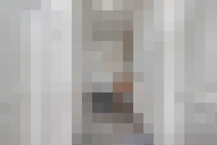 Vettewinkelweg 2 Wijhe thumbnail 11