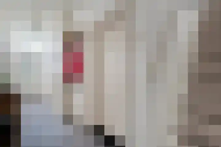 Vettewinkelweg 2 Wijhe thumbnail 12