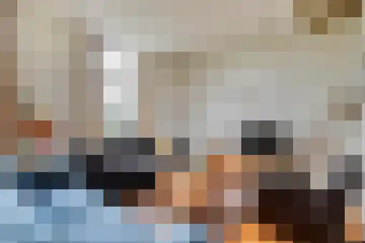 Vettewinkelweg 2 Wijhe thumbnail 16
