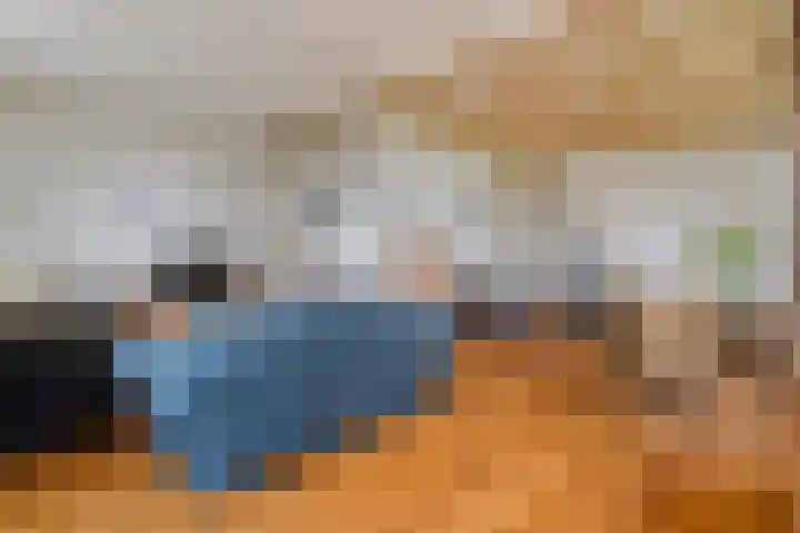 Vettewinkelweg 2 Wijhe thumbnail 17