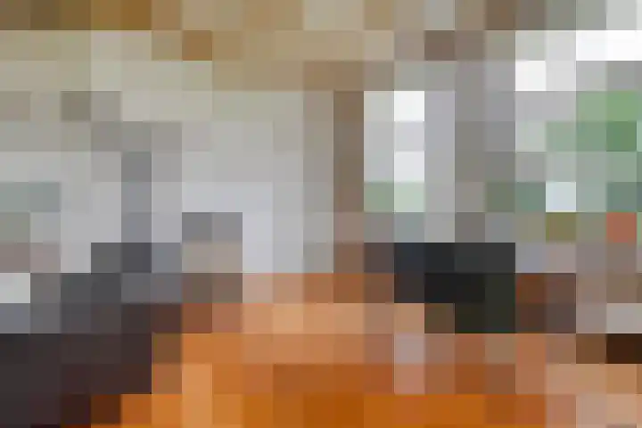 Vettewinkelweg 2 Wijhe thumbnail 20