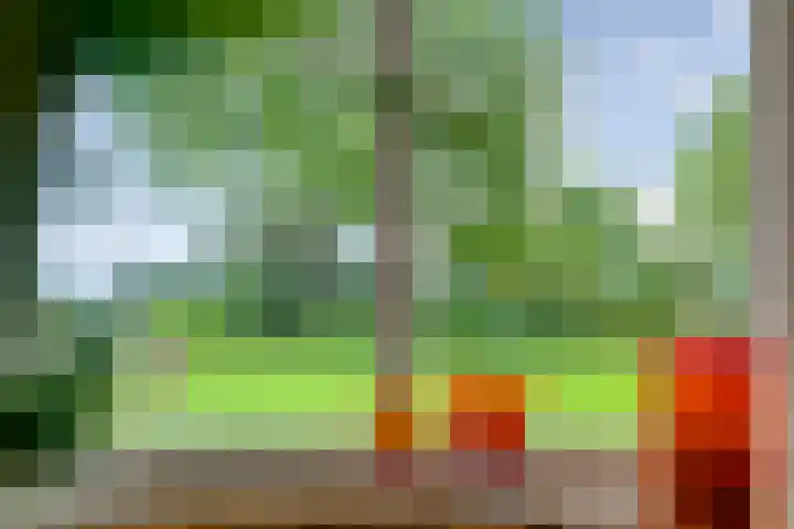 Vettewinkelweg 2 Wijhe thumbnail 21