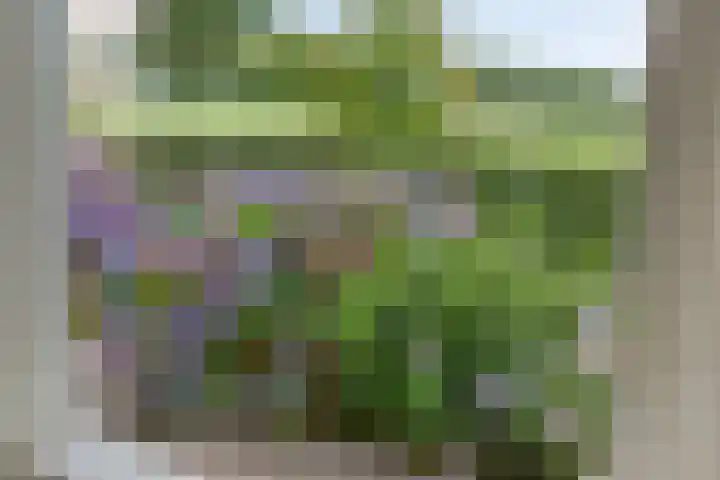 Vettewinkelweg 2 Wijhe thumbnail 22