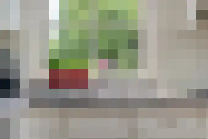 Vettewinkelweg 2 Wijhe thumbnail 26