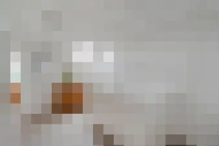 Vettewinkelweg 2 Wijhe thumbnail 30