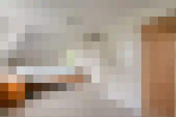 Vettewinkelweg 2 Wijhe thumbnail 31