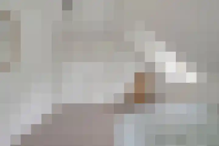 Vettewinkelweg 2 Wijhe thumbnail 34