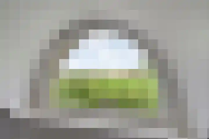 Vettewinkelweg 2 Wijhe thumbnail 36
