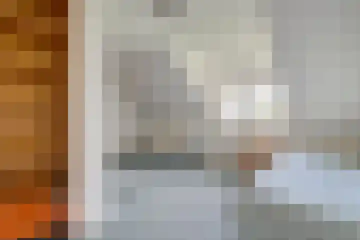 Vettewinkelweg 2 Wijhe thumbnail 39