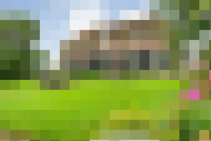 Vettewinkelweg 2 Wijhe thumbnail 4