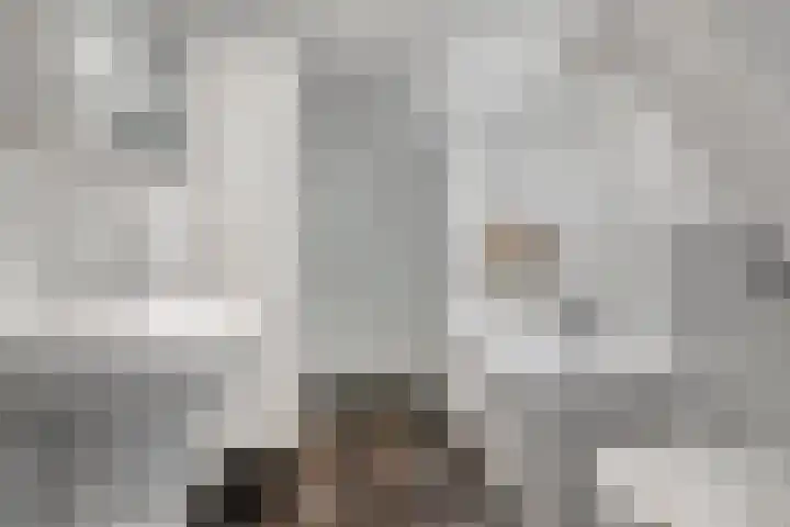 Vettewinkelweg 2 Wijhe thumbnail 41