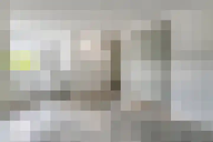 Vettewinkelweg 2 Wijhe thumbnail 44