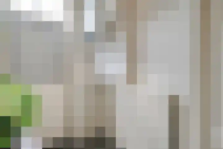 Vettewinkelweg 2 Wijhe thumbnail 46