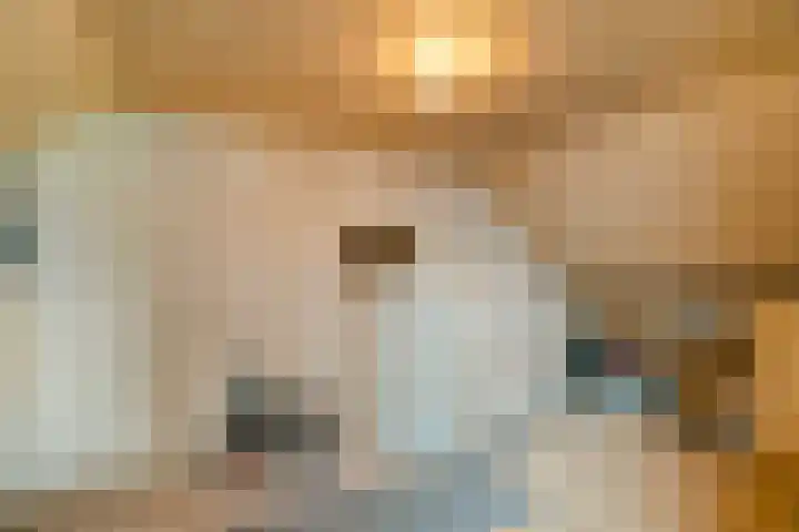 Vettewinkelweg 2 Wijhe thumbnail 47