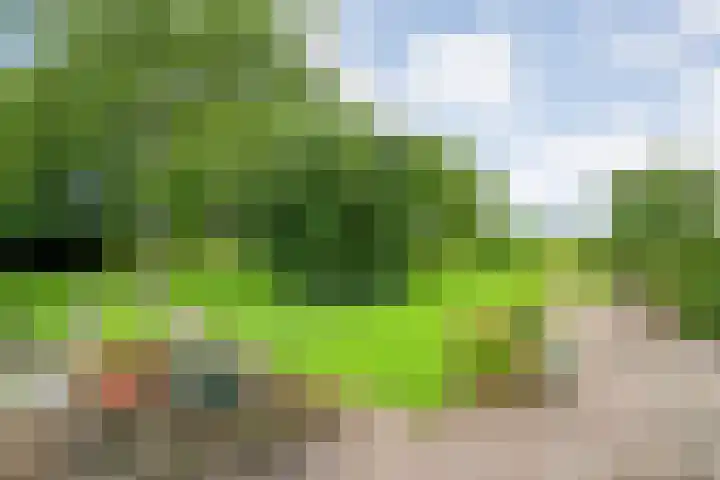 Vettewinkelweg 2 Wijhe thumbnail 50