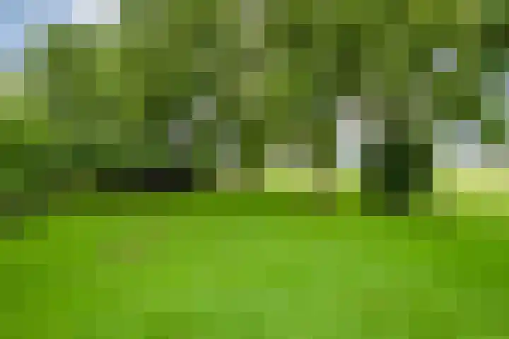 Vettewinkelweg 2 Wijhe thumbnail 52