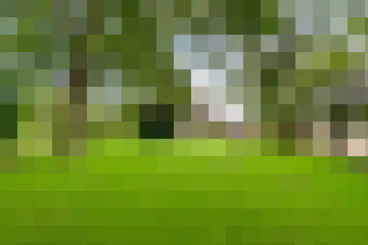 Vettewinkelweg 2 Wijhe thumbnail 53