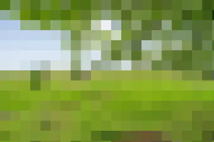 Vettewinkelweg 2 Wijhe thumbnail 54