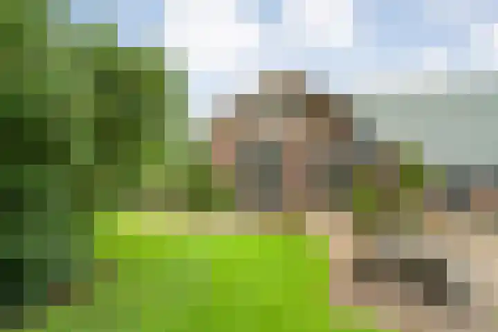 Vettewinkelweg 2 Wijhe thumbnail 55