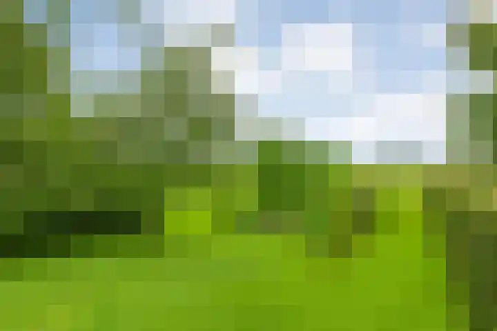 Vettewinkelweg 2 Wijhe thumbnail 56