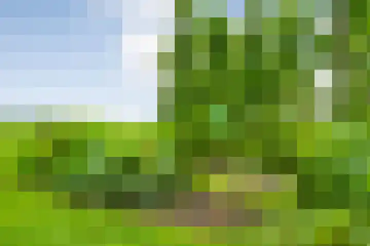 Vettewinkelweg 2 Wijhe thumbnail 57