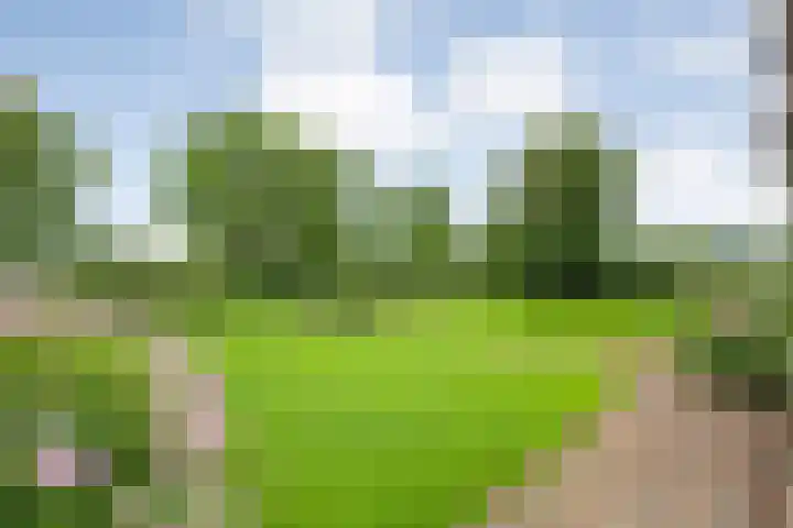Vettewinkelweg 2 Wijhe thumbnail 58