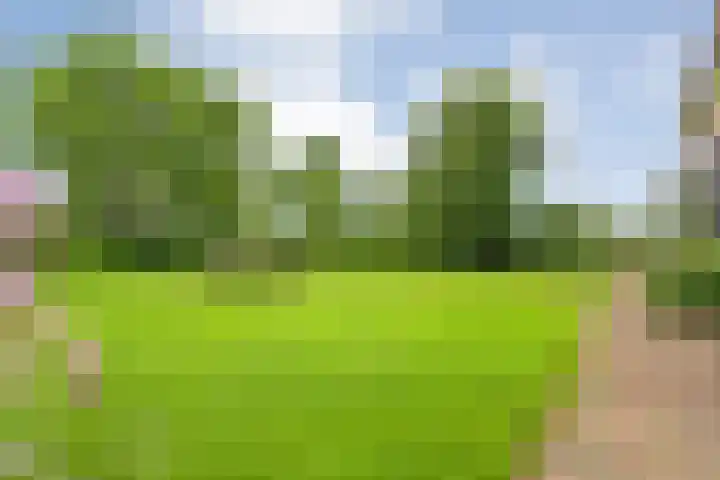 Vettewinkelweg 2 Wijhe thumbnail 59